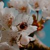 nastay_73
