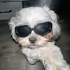 novi_x7