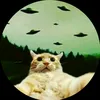 trynnascape