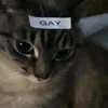 gatotastico707