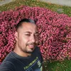 alisali58
