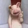 phamvanbay4