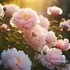 thamtruong_000