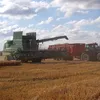 agrilive77