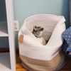 cattusandbean