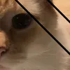 ebbisavdomallalove.com