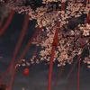 _yuna.st4r
