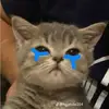 .hu_136