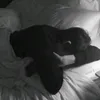 g9z0