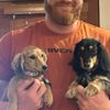 twodoxiesandlife
