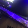 nawfchina_