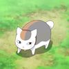 chikenkatsu08