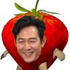 botcitp4