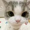 rude_flowee
