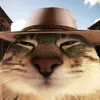patrikbeck_0