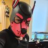 thewaterdog1