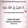 habibty317