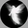 m.avvi5
