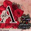 user195400852