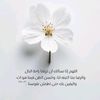 wijdan.alhadidiu