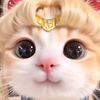 kairo_169