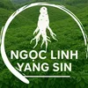 yangsin_bmt