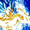 officialvegeta7