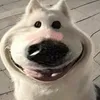 hellokittyconcac0