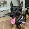 rico.nala