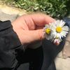 esilamm6565
