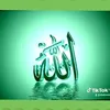 dalshad16