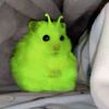 lyyaamatcha