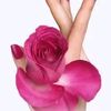 user242319733