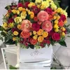 bibi_elhelwa
