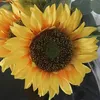 _limamu_