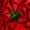 mahjoubwahib