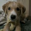zoebear_48