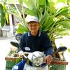 bayusobokebon