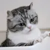 luffiq