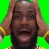 lebrons_hairy_test1cle_