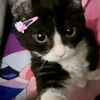 its_sofi.67