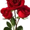 adhila76