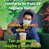 felipeaguilar010