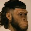 aprendisdebarbero