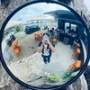 nglmcrttv