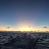 userunknown0123