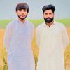 malik_shahid.512