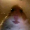 michaelspeelt