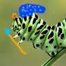 caterpillarwizards