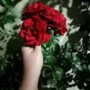 yritchsadaglims_s